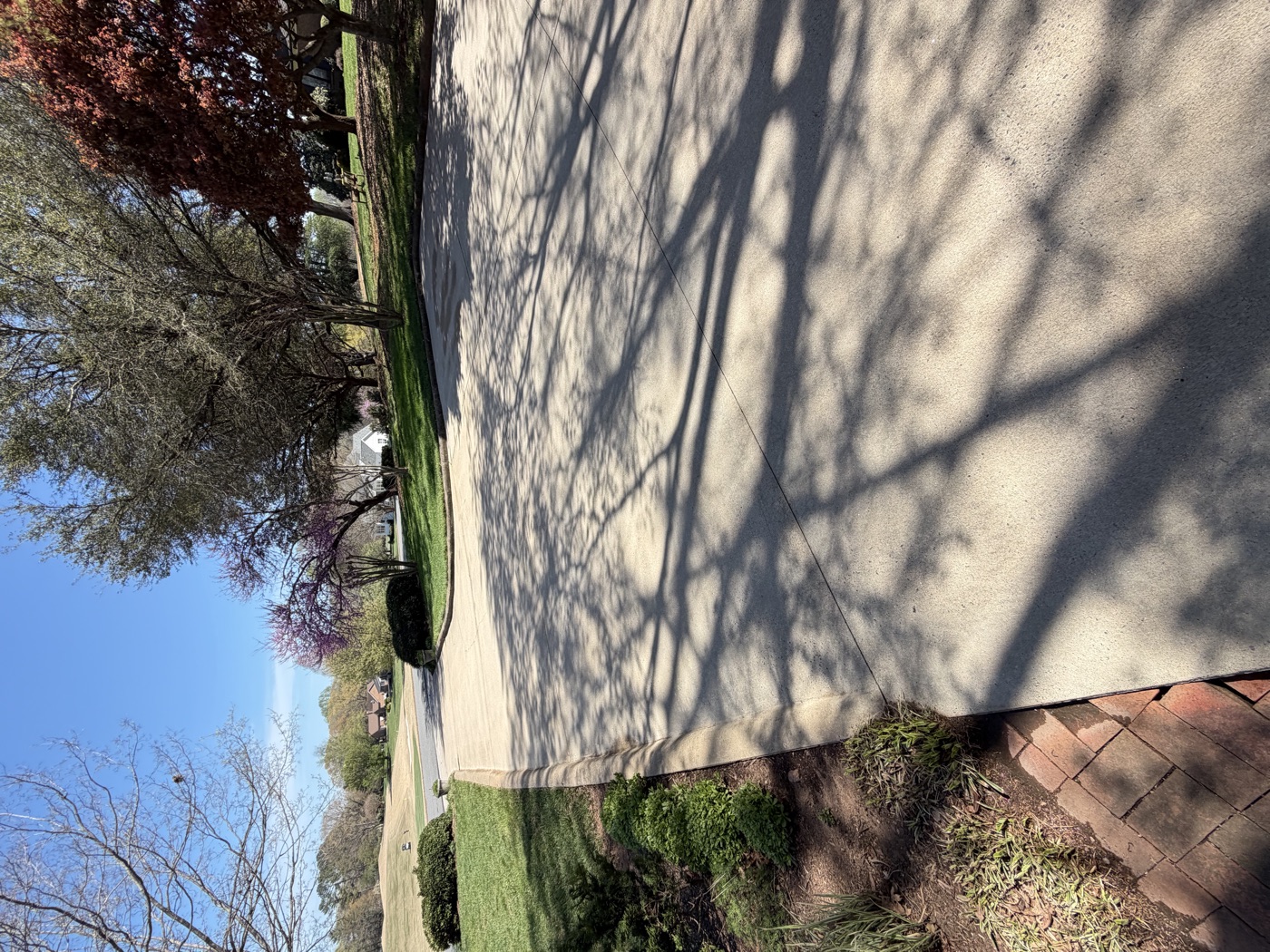 Clean driveway after cleaning
